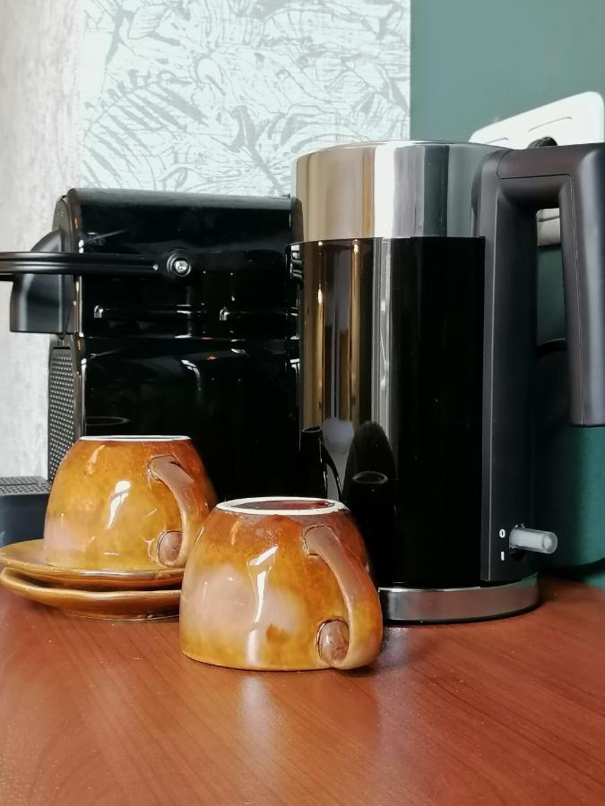 B&B De Stadssingel Steenwijk Kültér fotó
